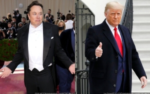 Elon Musk Calls Donald Trump 'Bull in a China Shop' Amid Heated Social Media Exchanges