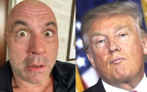 Joe Rogan Suggests Donald Trump Used Adderall During His Presidency, Dubs Him a 'Man Baby'