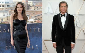 Angelina Jolie Reportedly Suing FBI for Not Pressing Charges Against Brad Pitt for Jet Fight