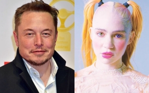 Elon Musk Warns Grimes of 'the Downside of Elf Ear Surgery'