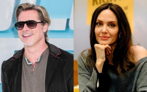 Brad Pitt Accused of Causing $25K in Damages to Plane During Fight With Angelina Jolie