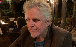 Gary Busey Allegedly Sexually Assaulted Several Women Before Sex Crime Charges