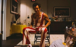 Harry Styles Mocked for Wishing for More 'Tender' Sex in Gay Films