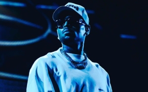 Chris Brown's Show Goes On as Fan Is Knocked Unconscious in Vicious Brawl