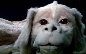 'The NeverEnding Story' Sparks Possible Remake Amid Bidding War Among Major Studios