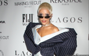 Doja Cat Declares She's Doing 'RnB Album' Without Rap