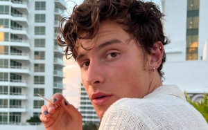 Shawn Mendes Looks Rested During Casual Stroll After Canceling Tour Due to Mental Health Struggle