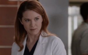 Sarah Drew Would Love to Star in 'Grey's Anatomy' Spin-Off