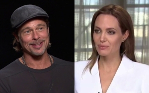 Brad Pitt Choked and Hit Kids as They Tried to Protect Mom Angelina Jolie During Plane Altercation