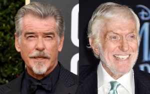 Pierce Brosnan Files Restraining Order Against Stalker Targeting Dick Van Dyke