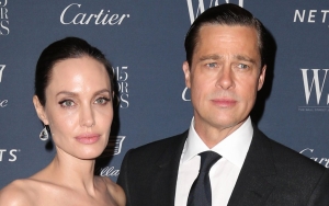Brad Pitt Reacts to Angelina Jolie's Assault Allegations Against Him: 'Untrue'