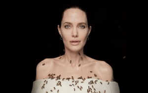 Angelina Jolie Bee Picture Wins International Photo Awards