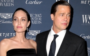 Brad Pitt Grateful to Authorities for Making 'Independent Decisions' Despite Angelina Jolie's Claims
