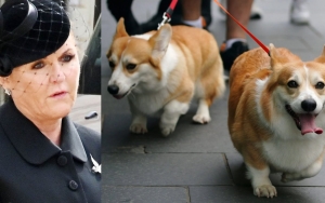 Sarah Ferguson Calls It 'a Big Honor' to Take Care of Queen Elizabeth's Dogs
