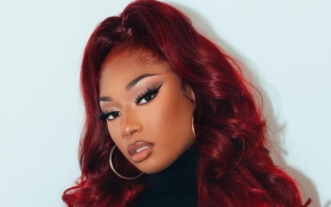 Megan Thee Stallion's TwitchCon Performance Interrupted by Fan