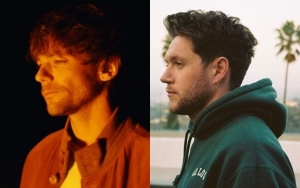 Louis Tomlinson Supports Niall Horan Joining 'The Voice'