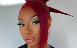 Megan Thee Stallion Reacts to Los Angeles Home Robbery: 'Wow'