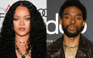 Rihanna's 'Black Panther: Wakanda Forever' Song Pays Tribute to Chadwick Boseman - Hear the Snippet