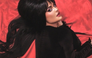 Kylie Jenner's Fans Ask Her to Stop Heavily Editing Her Halloween Pictures 