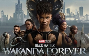 'Black Panther 3' Status Will Be Determined by 'Wakanda Forever' Success