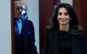Johnny Depp Reportedly Ends Relationship With Former Attorney Joelle Rich