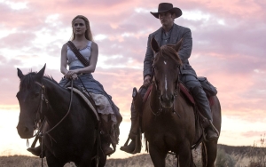 'Westworld' Fans React to HBO's Shocking Decision to Cancel the Show