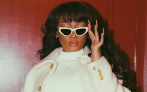 Megan Thee Stallion Gets Support in Open Letter After Drakeâ€™s Alleged Diss Song