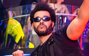 The Weeknd Drives Fans Crazy After Sharing Cute Pics of Him Babysitting a Kitten