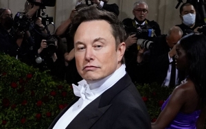Elon Musk Slams Apple for Pulling Ads From Twitter