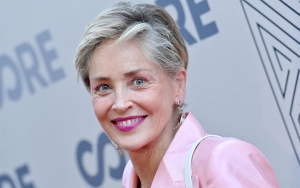 Sharon Stone Blames AIDS Charity Work for 'Destroying' Her Career