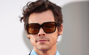 Harry Styles' Merchandise Truck Hijacked by Gunmen Ahead of 'Love on Tour' Show in Brazil