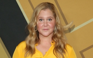 Amy Schumer Gets Mixed Reactions After Reflecting on 'Lonely' Battle With Painful Endometriosis