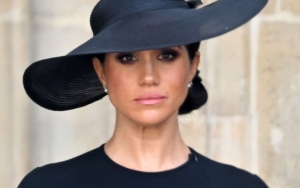 Meghan Markle Claims Cabin Crew Knelt to Thank Her for 'Sacrifice' on 'Megxit' Flight