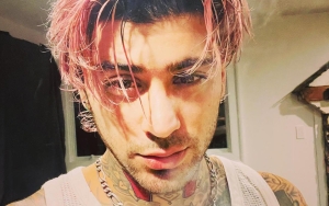 Zayn Malik Working on New Album Amid Gigi Hadid and Leonardo DiCaprio's Dating Rumors