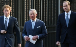 Prince Harry Says King Charles and Prince William Are Against Family Reconciliation 