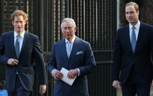 Prince Harry and William 'Begged' King Charles Not to Marry Camilla After Princess Diana's Death