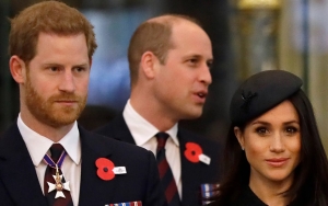 Prince Harry Says Prince William Was 'Freaked Out' by Meghan Markle's Hug
