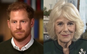 Prince Harry Labels Camilla Dangerous 'Villain' Who 'Traded Information' to Rehabilitate Her Image