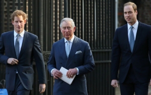 Charles and William Unhappy With Harry for Defending Meghan When The Couple First Went Public