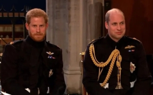 Prince Harry Wishes Prince William Agreed to Go to Therapy