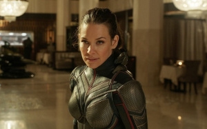 Evangeline Lilly Says It's Time the Wasp Gets Her Own Marvel Movie