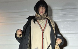 Billie Eilish's Restraining Order Against Obsessed Male Fan Has Been Made Permanent