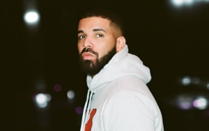 Drake Pauses His Performance at Super Bowl Concert After Fan Shoots Her Shot With Him 