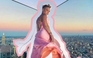 Pink Admits to Feeling 'Giddy' Ahead of the Release of New Album 'Trustfall'