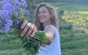 Gisele Bundchen Dazzles as She Enjoys First Rio de Janeiro Carnival Without Tom Brady