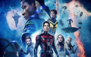 'Quantumania' Director Says There Is 'No Guarantee' to Make Another 'Ant-Man' Movie