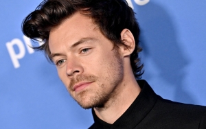 Harry Styles Obliged to Provide Personal Information for New Zealand Census