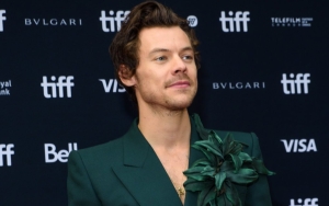 Harry Styles Halts His Concert to Help Man Propose to His Girlfriend
