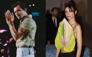 Harry Styles and Emily Ratajkowski Reportedly 'Friendly for a While' Before Tokyo Makeout Session