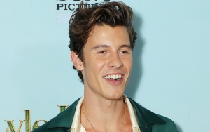 Shawn Mendes Flaunts Red Hot Sunburn in New Shirtless Pics 